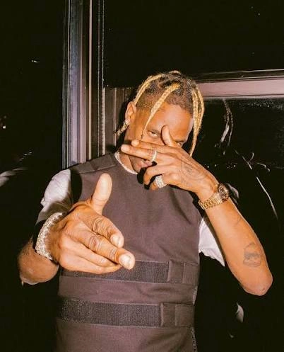 Cool Travis Scott Pfp 2