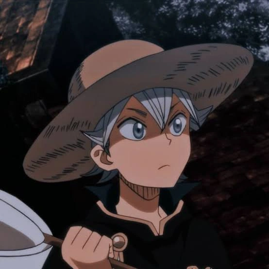 Asta Pfp Boy 2 Asta Pfp Boy 2