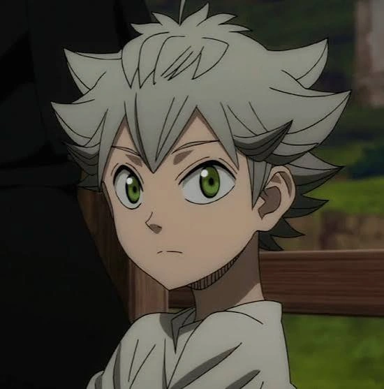 Asta Pfp Boy 4 Asta Pfp Boy 4